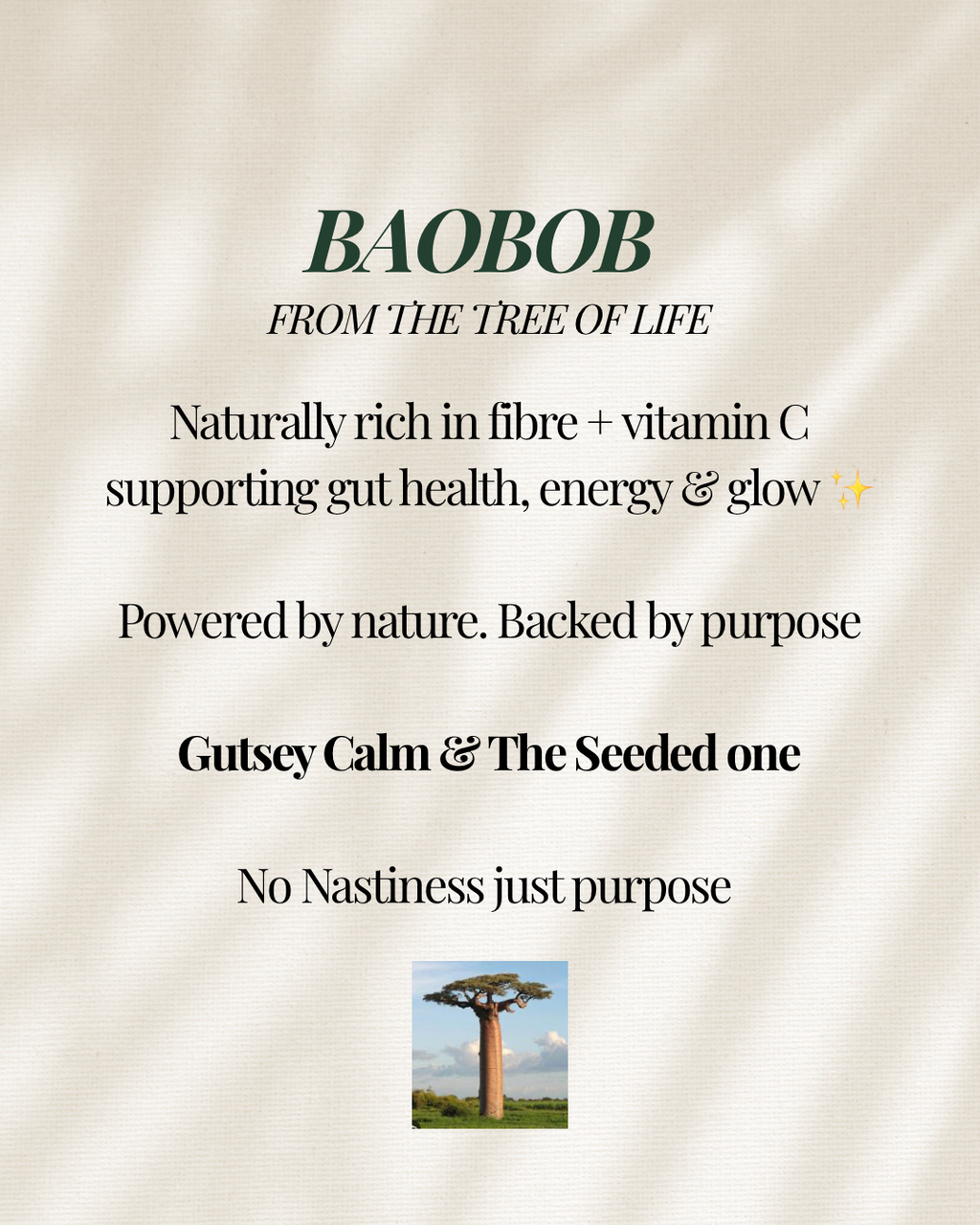 GUTSEY CALM with Ashwagandha, Maca & Baobob x5