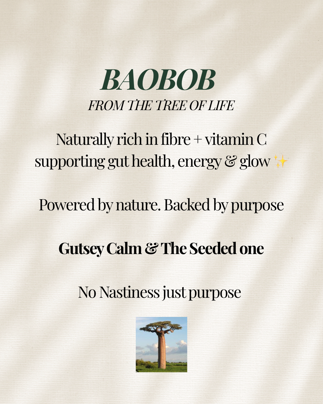 GUTSEY CALM with Ashwagandha, Maca & Baobob x5